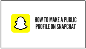 Read more about the article How To Make A Public Profile On Snapchat